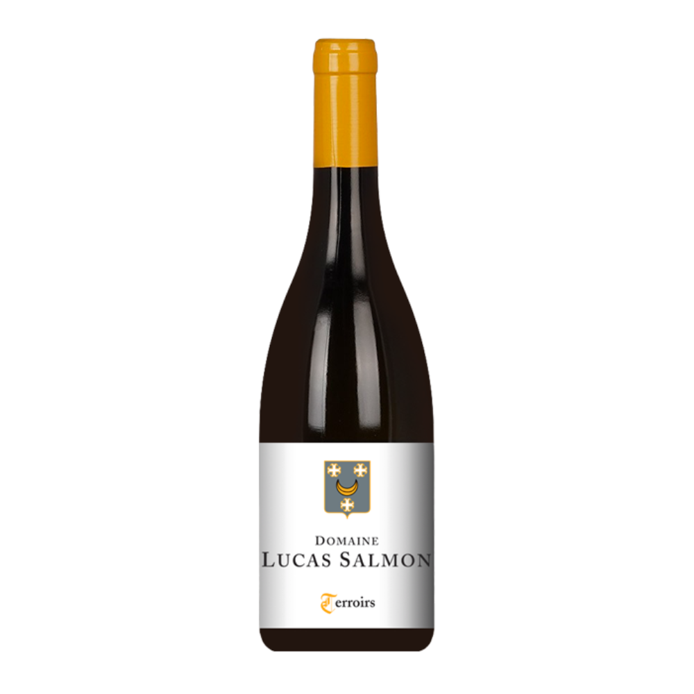 Muscadet Terroirs 2023 Domaine Lucas Salmon – La Réserve Noirmoutier